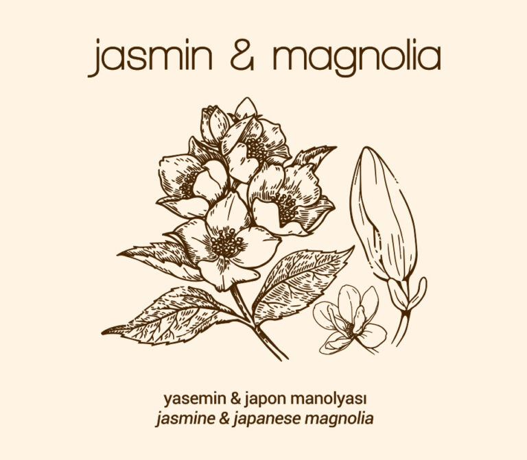 Jasmin & Magnolia