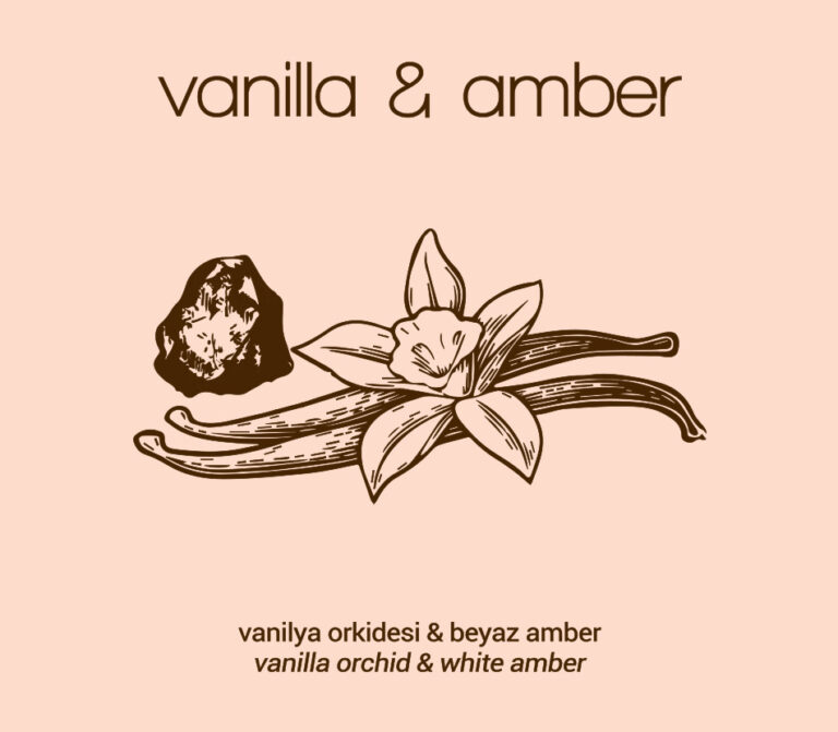 Vanilla & Amber