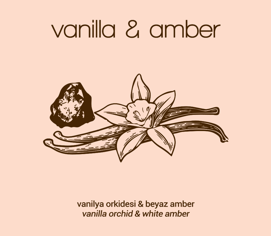 Vanilla & Amber