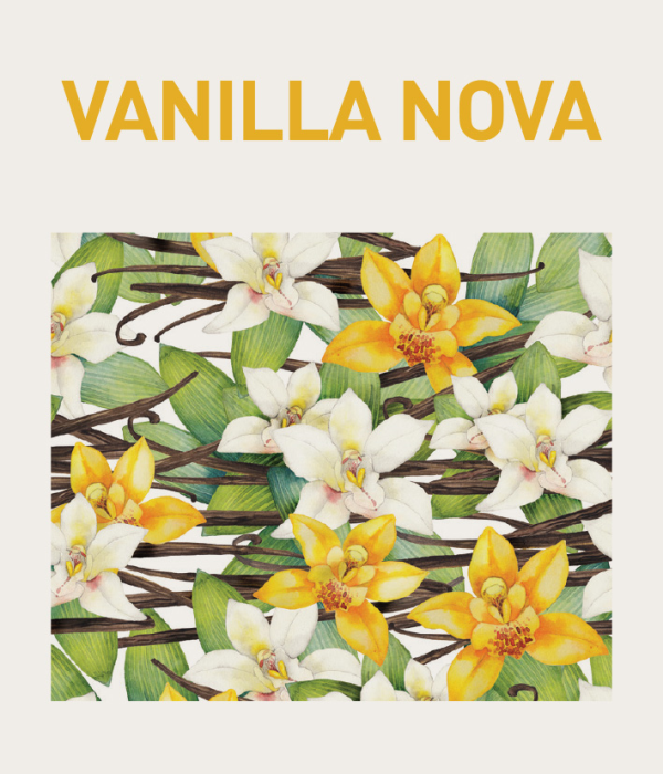 Vanilla Nova